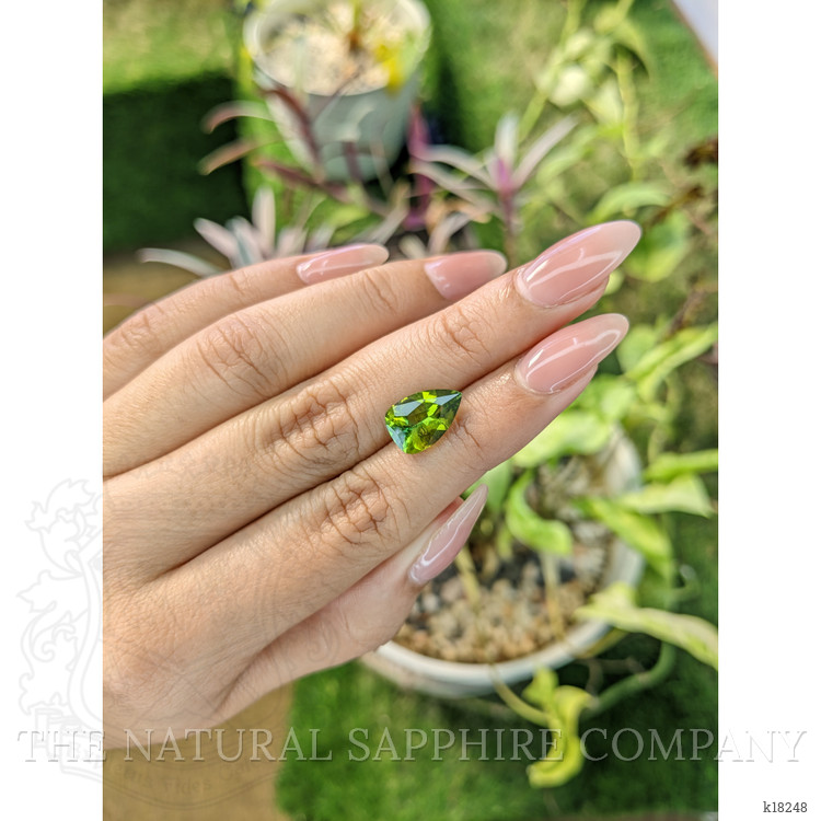 2.79 Ct. Tourmaline from Ceylon (Sri Lanka)