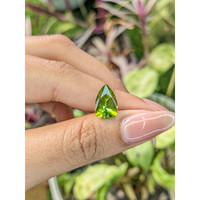 2.79 Ct. Tourmaline from Ceylon (Sri Lanka) Life Style