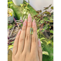 3.50 Ct. Tourmaline from Ceylon (Sri Lanka) Life Style