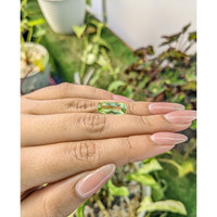 3.50 Ct. Tourmaline from Ceylon (Sri Lanka) Life Style