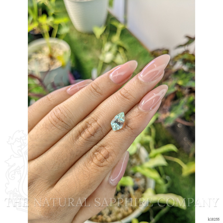 1.72 Ct. Tourmaline from Ceylon (Sri Lanka)