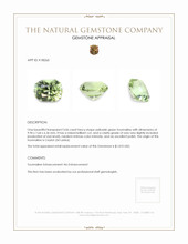 3.06 Ct. Yellowish Green Tourmaline from Ceylon (Sri Lanka) Appraisal
