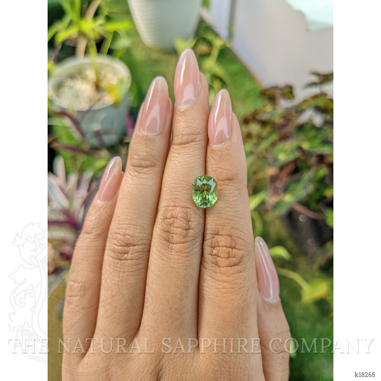 3.06 Ct. Tourmaline from Ceylon (Sri Lanka)