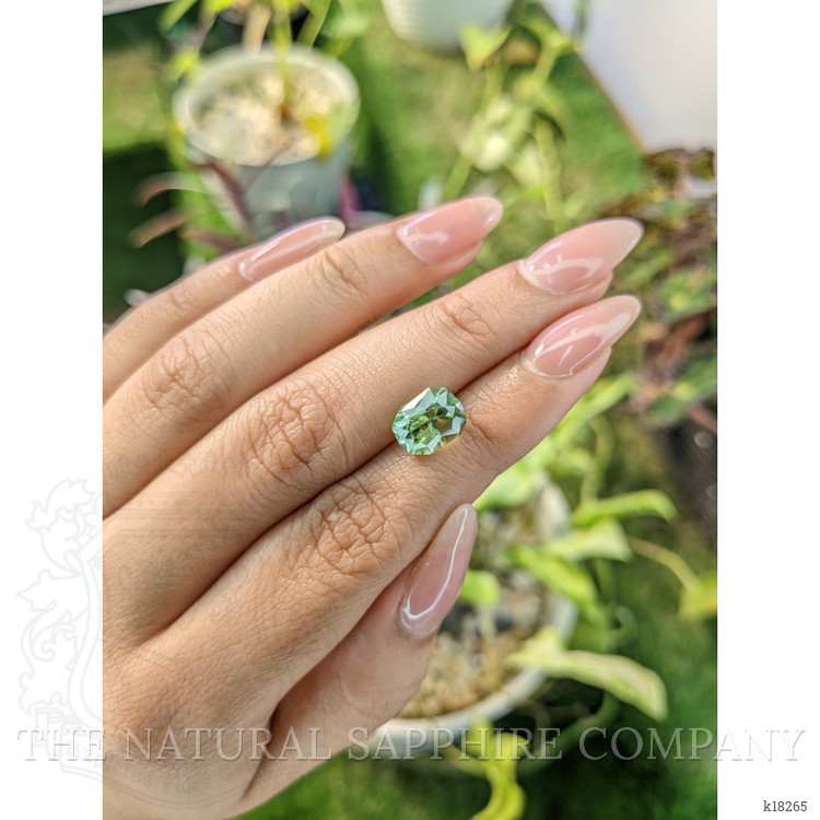 3.06 Ct. Tourmaline from Ceylon (Sri Lanka)