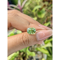 3.06 Ct. Tourmaline from Ceylon (Sri Lanka) Life Style
