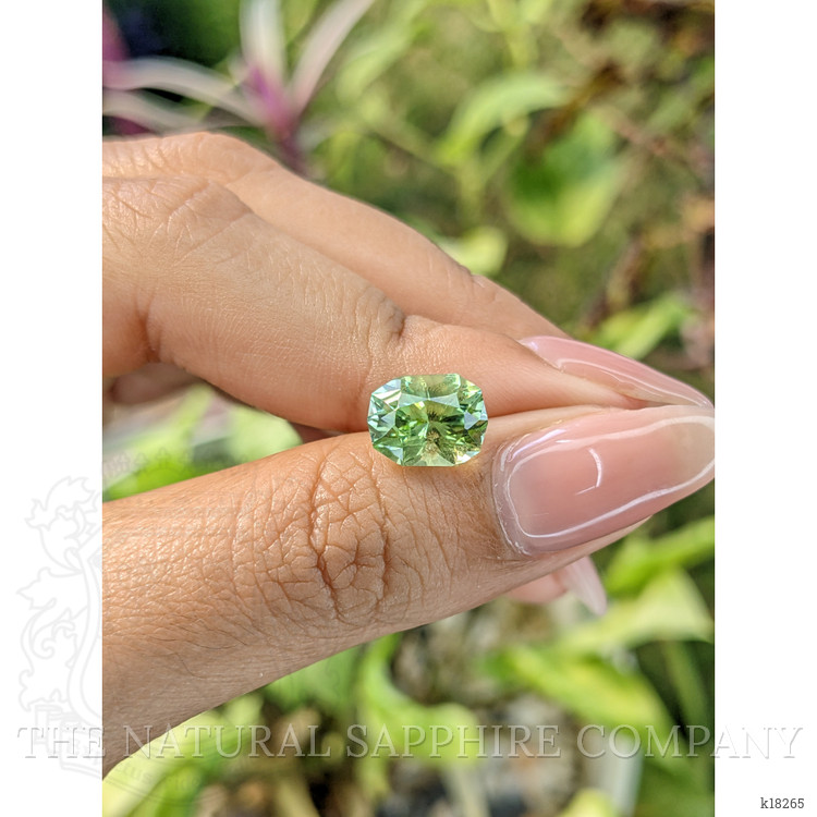 3.06 Ct. Tourmaline from Ceylon (Sri Lanka)