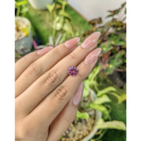 1.55 Ct. Tourmaline from Ceylon (Sri Lanka) Life Style