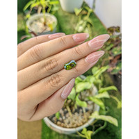 2.04 Ct. Tourmaline from Ceylon (Sri Lanka) Life Style