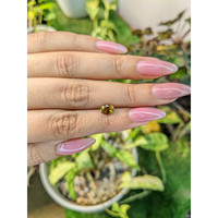 0.78 Ct. Tourmaline from Ceylon (Sri Lanka) Life Style