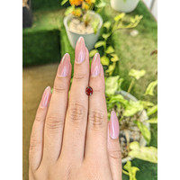 1.20 Ct. Almandine Garnet from Ceylon (Sri Lanka) Life Style