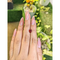 1.42 Ct. Almandine Garnet from Ceylon (Sri Lanka) Life Style