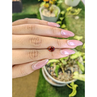 1.64 Ct. Almandine Garnet from Ceylon (Sri Lanka) Life Style