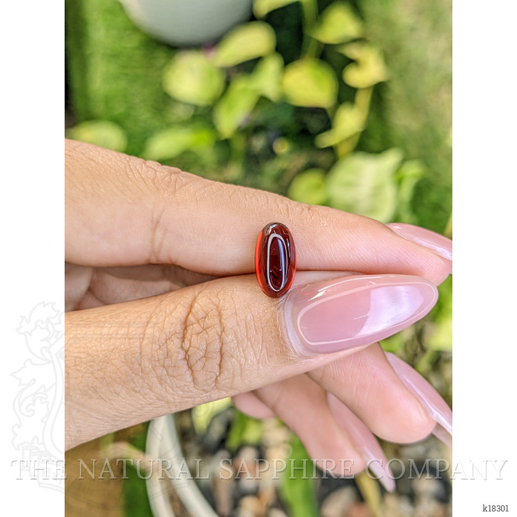 3.04 Ct. Cabochon Almandine Garnet from Ceylon (Sri Lanka)