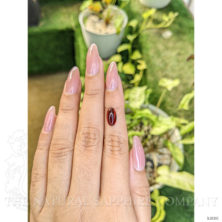 3.04 Ct. Cabochon Almandine Garnet from Ceylon (Sri Lanka)