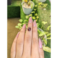 3.71 Ct. Cabochon Garnet from Ceylon (Sri Lanka) Life Style