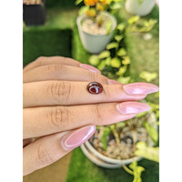 3.71 Ct. Cabochon Garnet from Ceylon (Sri Lanka) Life Style