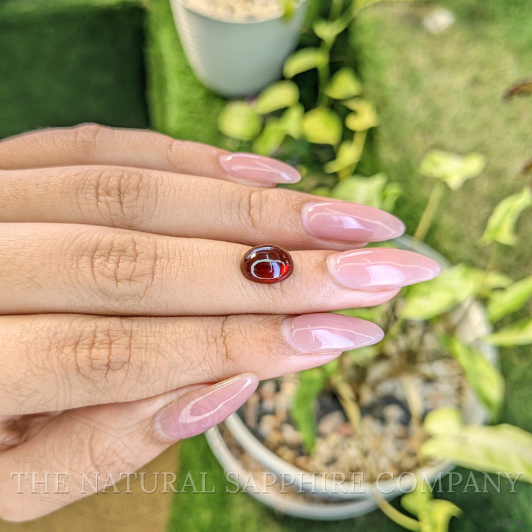 3.63 Ct. Cabochon Garnet from Ceylon (Sri Lanka)