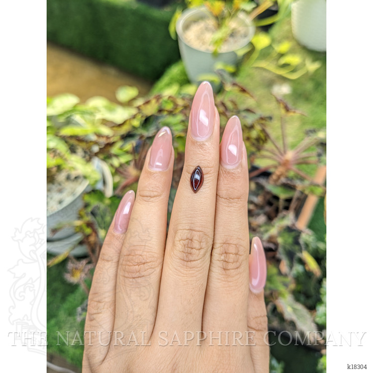 1.64 Ct. Cabochon Garnet from Ceylon (Sri Lanka)