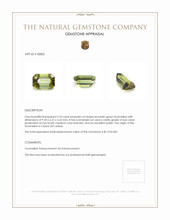 2.53 Ct. Brownish Green Tourmaline from Ceylon (Sri Lanka) Appraisal