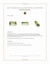 1.25 Ct. Tourmaline from Ceylon (Sri Lanka) Appraisal