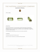 1.25 Ct. Tourmaline from Ceylon (Sri Lanka) Appraisal