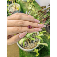 2.33 Ct. Tourmaline from Ceylon (Sri Lanka) Life Style