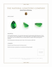 1.04 Ct. Tsavorite Garnet from Tanzania Appraisal