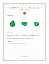 1.01 Ct. Tsavorite Garnet from Tanzania Appraisal