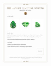 1.06 Ct. Tsavorite Garnet from Tanzania Appraisal