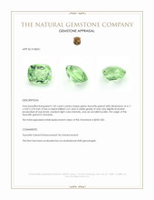 1.05 Ct. Tsavorite Garnet from Tanzania Appraisal