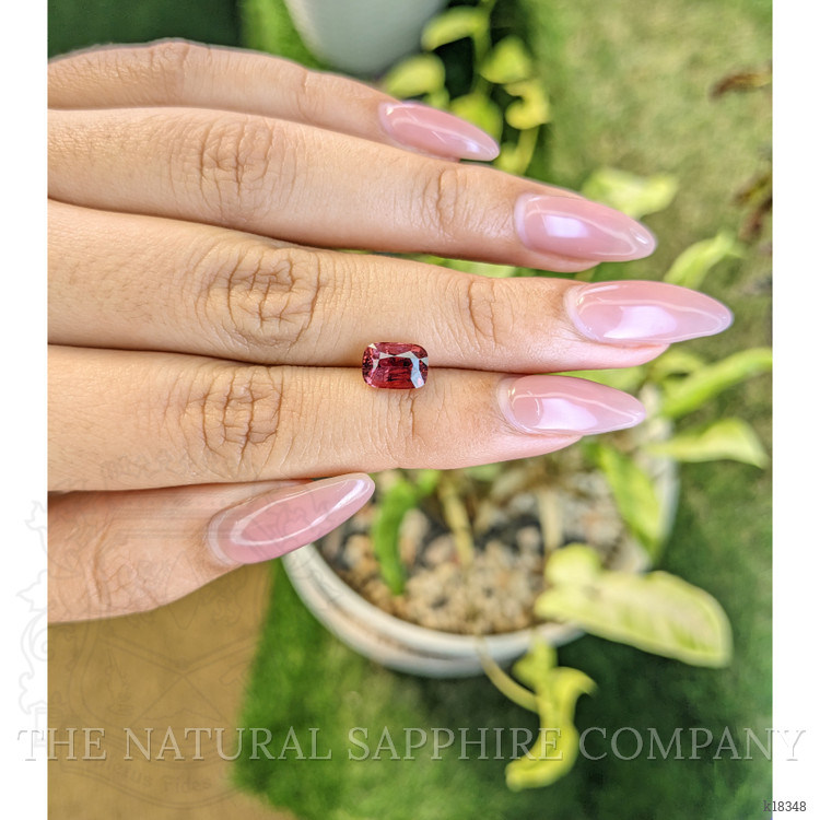 1.61 Ct. Tourmaline from Ceylon (Sri Lanka)