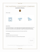 1.27 Ct. Aquamarine from Mozambique Appraisal