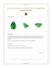 0.93 Ct. Tsavorite Garnet from Tanzania Appraisal