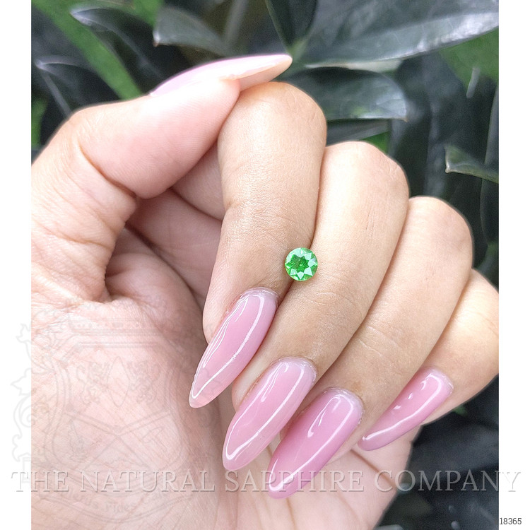 0.59 Ct. Tsavorite Garnet from Tanzania