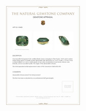 10.09 Ct. Alexandrite from Russia Appraisal