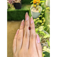 1.72 Ct. Almandine Garnet from Ceylon (Sri Lanka) Life Style