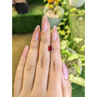 1.72 Ct. Almandine Garnet from Ceylon (Sri Lanka) Life Style