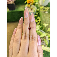 1.03 Ct. Almandine Garnet from Ceylon (Sri Lanka) Life Style