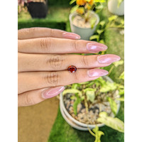 1.82 Ct. Almandine Garnet from Ceylon (Sri Lanka) Life Style