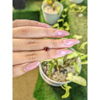 1.01 Ct. Almandine Garnet from Ceylon (Sri Lanka) Life Style