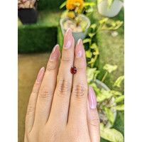 1.31 Ct. Almandine Garnet from Ceylon (Sri Lanka) Life Style