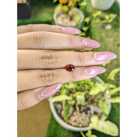 1.31 Ct. Almandine Garnet from Ceylon (Sri Lanka) Life Style