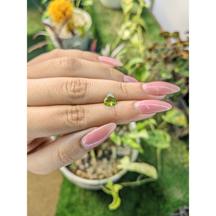 0.92 Ct. Peridot from Pakistan