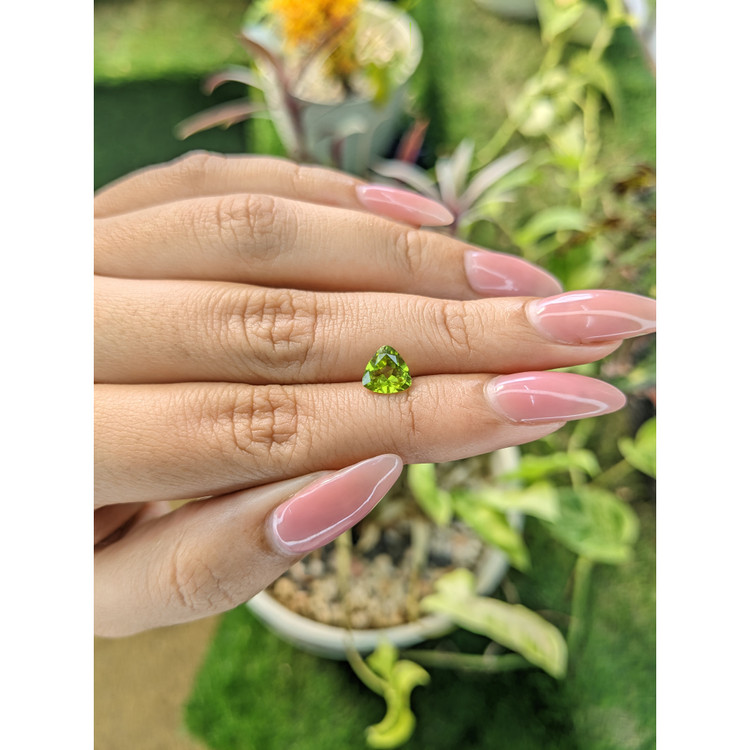 1.20 Ct. Peridot from Pakistan