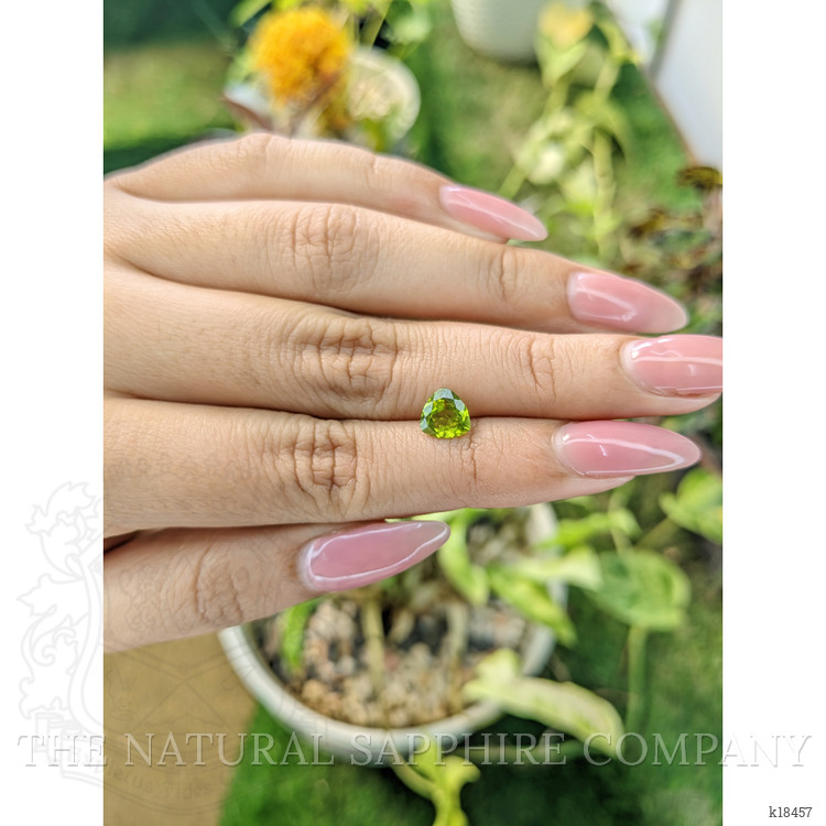 1.18 Ct. Peridot from Pakistan