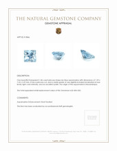 1.86 Ct. Aquamarine from Mozambique Appraisal