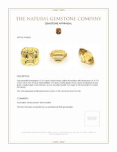 13.53 Ct. Yellow Tourmaline from Ceylon (Sri Lanka) Appraisal