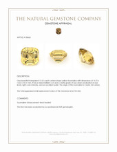 13.53 Ct. Tourmaline from Ceylon (Sri Lanka) Appraisal