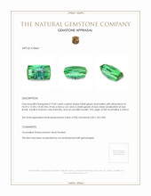 19.03 Ct. Tourmaline from Africa Appraisal