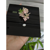 1.18 Ct. Cabochon White Opal from Australia Life Style